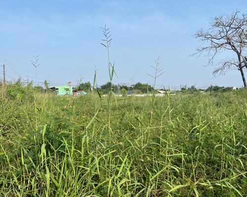 屏東怪手整地, 屏東挖土機整地, 屏東挖土機整地除草