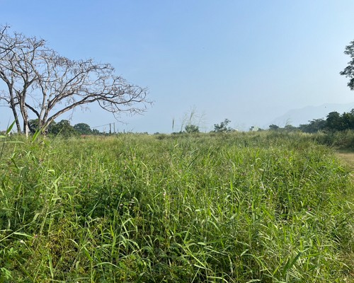 屏東怪手整地, 屏東挖土機整地, 屏東挖土機整地除草