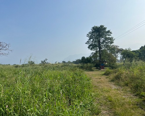 屏東怪手整地, 屏東挖土機整地, 屏東挖土機整地除草