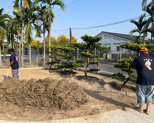 屏東挖土機庭園造景, 屏東園藝挖土機, 屏東挖土機建築施工, 屏東挖土機怪手樹木移植園藝, 屏東挖土機整地工程, 
						屏東怪手整地, 屏東挖土機整地, 屏東整地工程, 屏東雜草清除, 屏東樹枝清運, 屏東雜草廢棄物清除